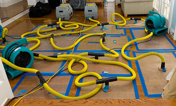 Professional Structural Drying And Dehumidification technician working in Barrington, NH